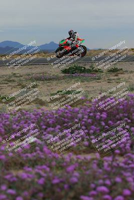 media/Jan-14-2023-SoCal Trackdays (Sat) [[497694156f]]/Turn 14 Exit Bloomig (145pm)/